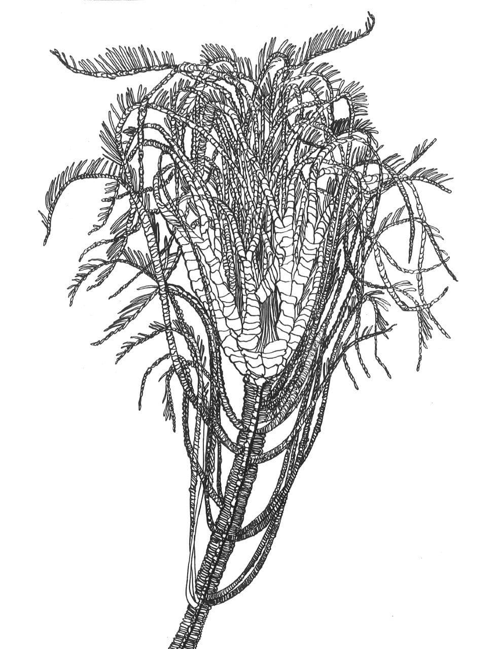 The Eustomes, Paper, gel pen, 2025 (10)