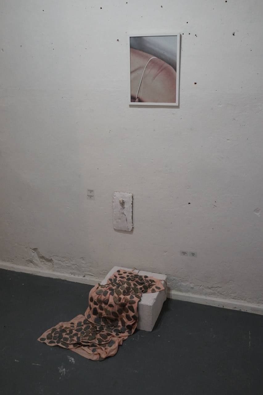 Lost Beauty (12)